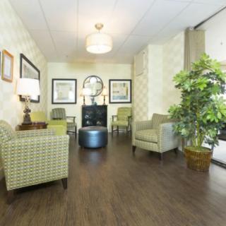A cozy waiting room with comfortable chairs, decorative plants, and warm lighting.