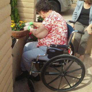 A person in a wheelchair tends to flowers, assisted by another individual.