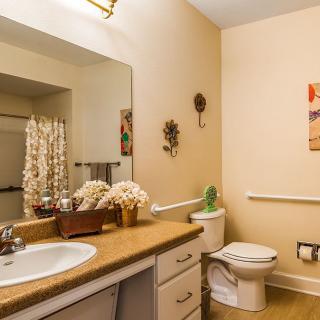 A well-organized bathroom featuring a sink with a wooden countertop, a mirror, and decorative elements.