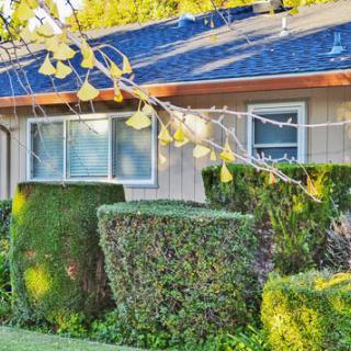 A residential house with neatly trimmed bushes and hedges in the front yard on a sunny day.