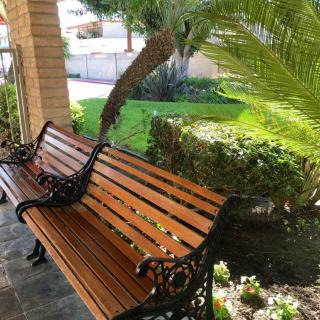 A wooden bench in a sunny garden setting, surrounded by lush greenery and a palm tree.