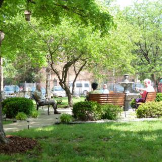 A serene park scene with people sitting on benches surrounded by lush greenery and trees.