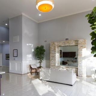 A bright and modern living room featuring sleek furniture, a large mirror, and decorative plants.