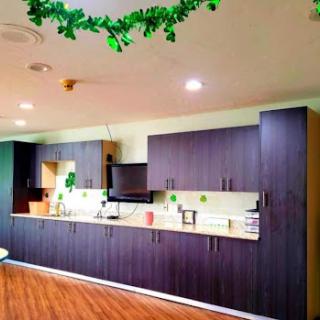A modern kitchen featuring dark wooden cabinets and bright lighting, adorned with greenery.