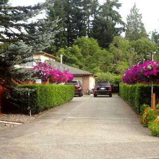 Green Haven