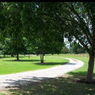 A serene pathway winding through a lush green park.
