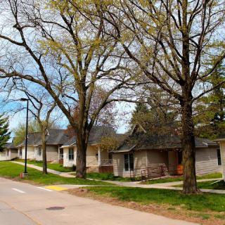 A suburban street lined with trees and houses on a clear day.
