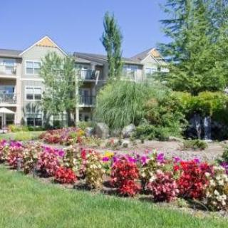 A scenic garden with vibrant flowers in front of a building on a sunny day.