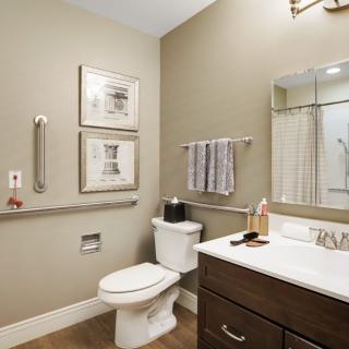 A modern bathroom with a toilet, sink, mirror, and safety grab bars.