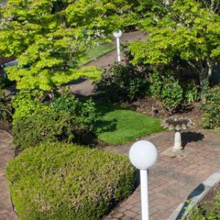A serene garden with lush greenery, a pathway, and lamp posts on a sunny day.
