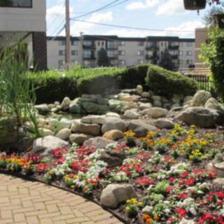 A landscaped garden with colorful flowers and rocks in an urban setting.