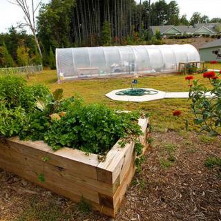An outdoor garden with a raised bed, plants, and a nearby greenhouse.