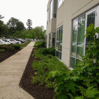 A view of a modern building with a landscaped sidewalk and surrounding greenery.