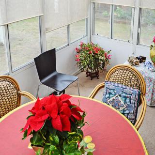 A cozy indoor patio with a round table, chairs, and vibrant plants.