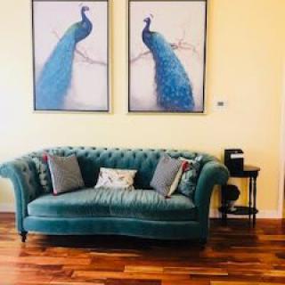 A stylish living room featuring a teal sofa with peacock artwork above it.