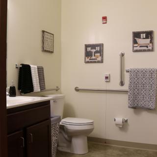 A well-organized bathroom with wall decor and accessible features.