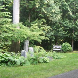 A tranquil forest scene with a bench and tombstones amidst lush greenery.