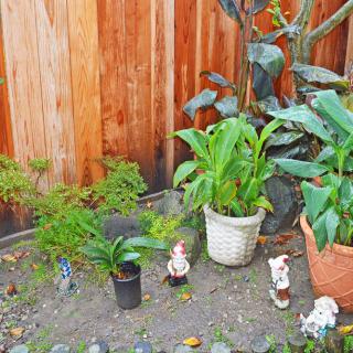 A small garden area with potted plants and decorative figurines against a wooden fence.