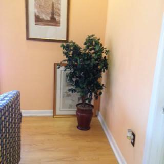 A cozy corner featuring a potted plant and framed artwork.