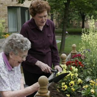 Two elderly women enjoy gardening together, tending to a flower bed.