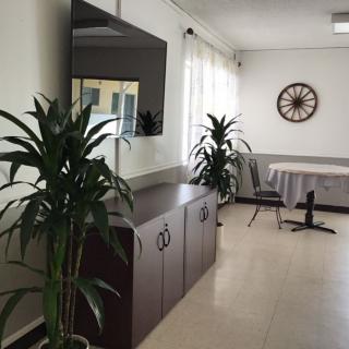 A bright room with indoor plants, a large wall clock, and minimalist furniture.