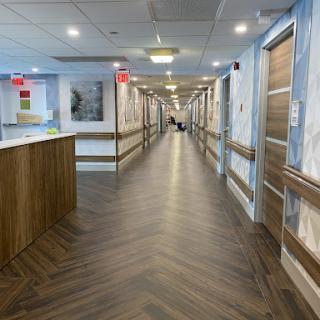A well-lit and modern hallway in a healthcare facility, featuring wooden flooring and inviting decor.