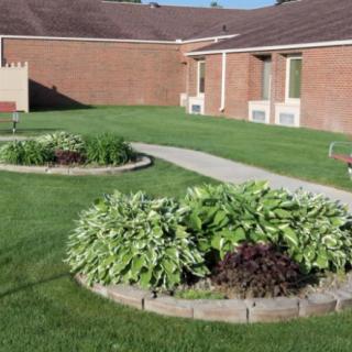 A well-maintained garden with circular shrub beds and a concrete pathway in a courtyard setting.