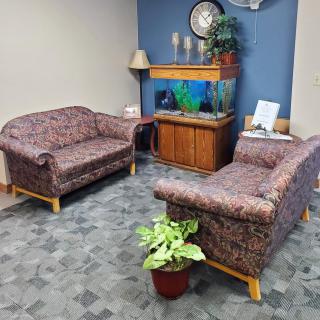 A cozy waiting room with two sofas, a potted plant, an aquarium, and a small lamp on a wooden cabinet.
