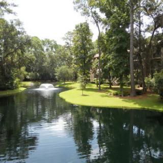 A serene park landscape featuring a pond with a fountain surrounded by lush trees.