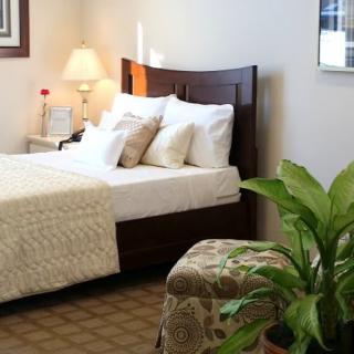 A cozy bedroom with a neatly made bed, adorned with pillows and a patterned blanket. A lamp sits on the nightstand, and a green plant adds a touch of nature to the room.