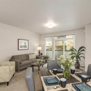 A cozy living room and dining area with modern decor and indoor plants.