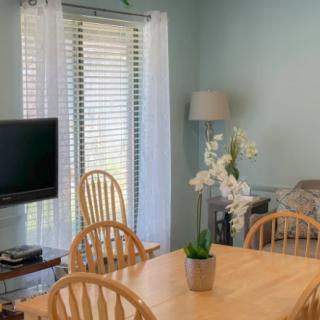 A cozy dining room with a wooden table and chairs, a TV, and a potted plant by the window.