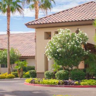 A suburban house surrounded by palm trees and well-maintained landscaping on a sunny day.