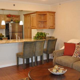 A cozy living area with an open kitchen featuring wood cabinetry and comfortable seating.