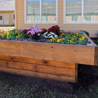 A wooden raised garden bed filled with colorful flowers in front of a house.