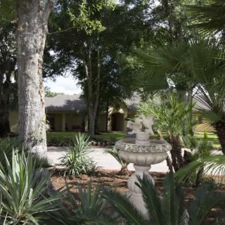 A serene garden with a central fountain surrounded by lush greenery and tall trees.