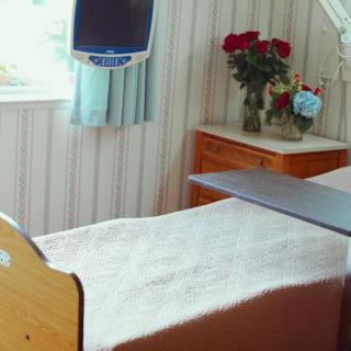 A hospital room with a neatly made bed, a television, and flowers by the window.