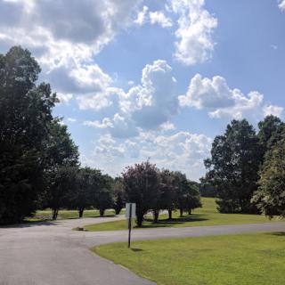 A serene view of a park with lush trees and a clear blue sky.
