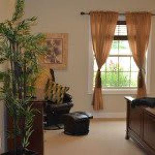 A cozy living room with an armchair, indoor plant, and sunlight streaming through the window.