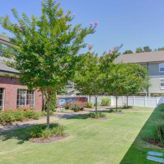 A neatly landscaped residential outdoor area with trees and a well-maintained lawn, surrounded by a fence and adjacent to buildings.