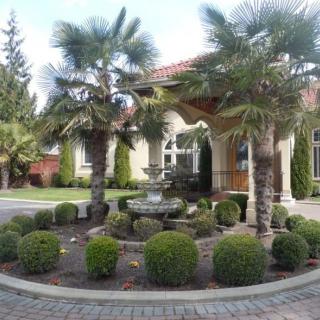 A beautifully landscaped area with a central fountain, surrounded by palm trees and neatly trimmed bushes in front of a large building.