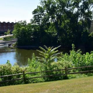 A serene riverside view with lush greenery and a small bridge in the background.