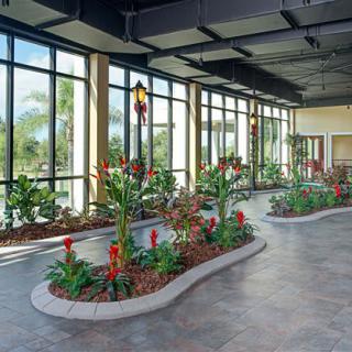 A modern indoor garden with large windows allowing ample natural light.