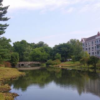 A serene pond with a small bridge and a building in the background, surrounded by lush greenery.