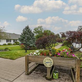 A beautifully maintained garden with colorful flowers and a paved pathway.