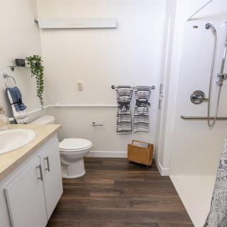 A modern, accessible bathroom featuring a shower with grab bars, a sink, and a toilet on wooden flooring.