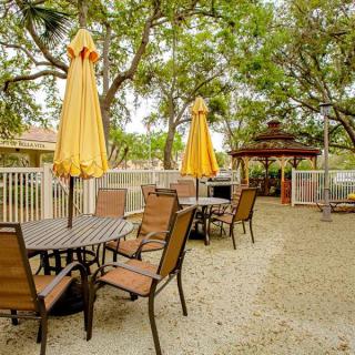 An outdoor patio area with tables and chairs shaded by yellow umbrellas, surrounded by lush trees.
