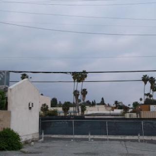 A view of an urban landscape featuring palm trees and a cloudy sky.