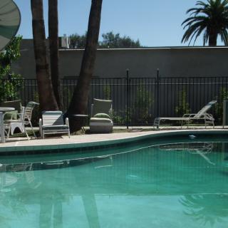 A serene outdoor pool area surrounded by palm trees and patio furniture.