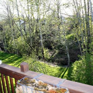 A view from a deck overlooking lush green trees and a sunlit landscape.